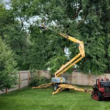 Best Fruit Tree Pruning  in Watchung, NJ